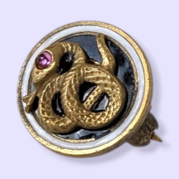 V. Sigma Nu Fraternity Pledge Pin - Picture 2 of 6